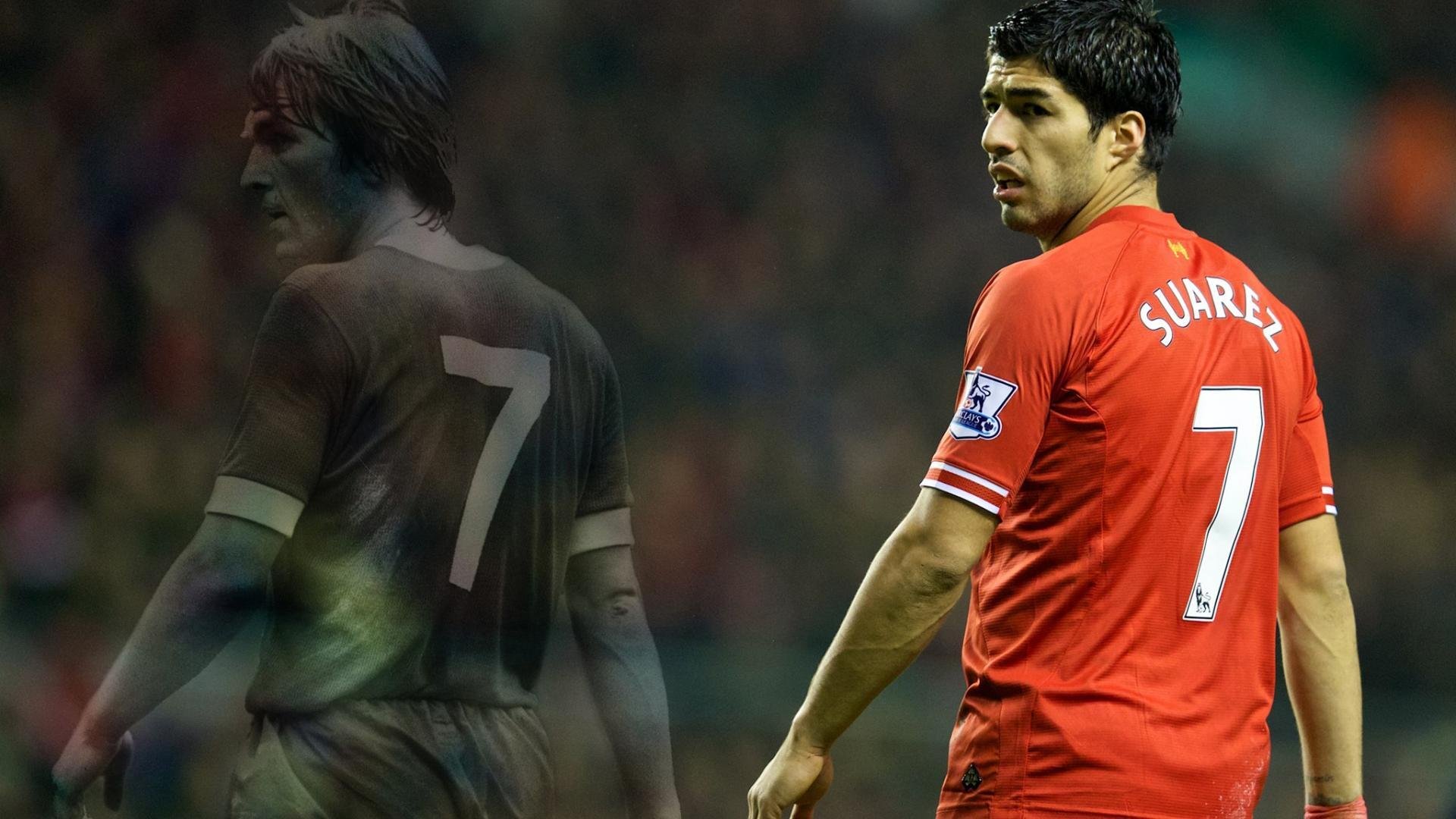 体育赛事观众满意度调查